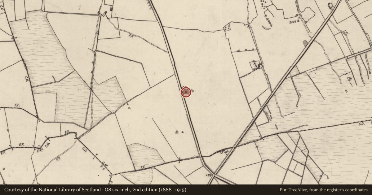 Ordnance Survey six-inch map, 2nd edition (1888–1915) covering the location of Quarry, Derry, County Galway, with a pin at the register's coordinates