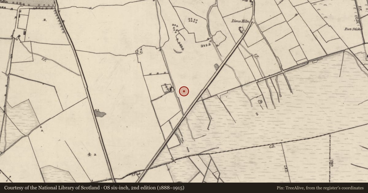 Ordnance Survey six-inch map, 2nd edition (1888–1915) covering the location of Fulacht fia, Derry, County Galway, with a pin at the register's coordinates
