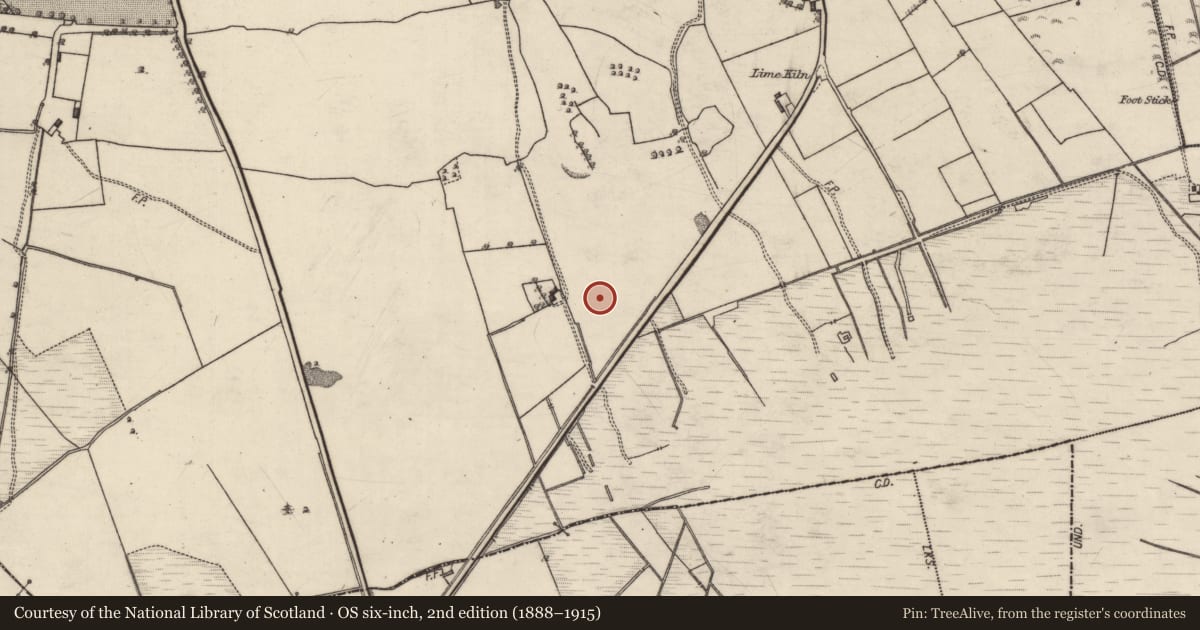 Ordnance Survey six-inch map, 2nd edition (1888–1915) covering the location of Fulacht fia, Derry, County Galway, with a pin at the register's coordinates