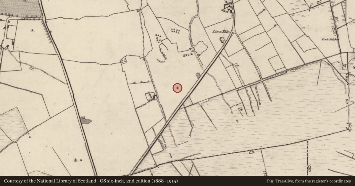 Ordnance Survey six-inch map, 2nd edition (1888–1915) covering the location of Fulacht fia, Derry, County Galway, with a pin at the register's coordinates