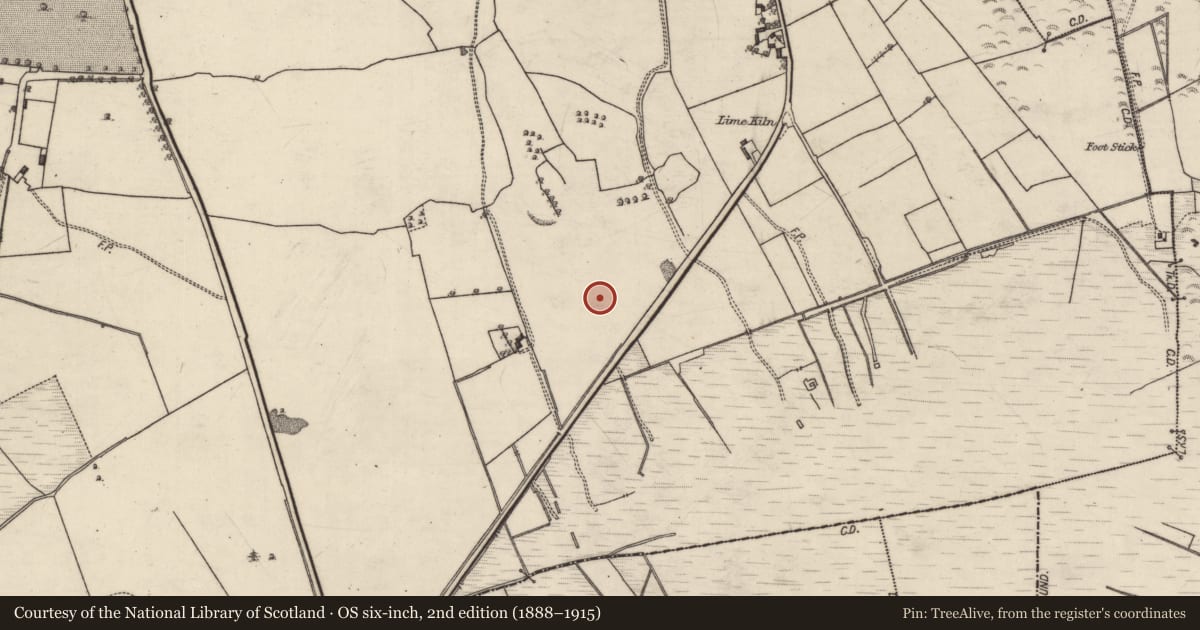 Ordnance Survey six-inch map, 2nd edition (1888–1915) covering the location of Fulacht fia, Derry, County Galway, with a pin at the register's coordinates