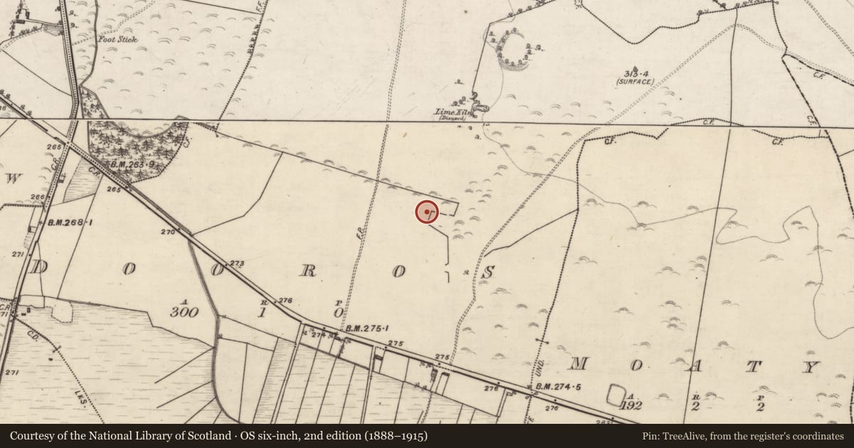 Ordnance Survey six-inch map, 2nd edition (1888–1915) covering the location of Quarry, Dooros, County Galway, with a pin at the register's coordinates