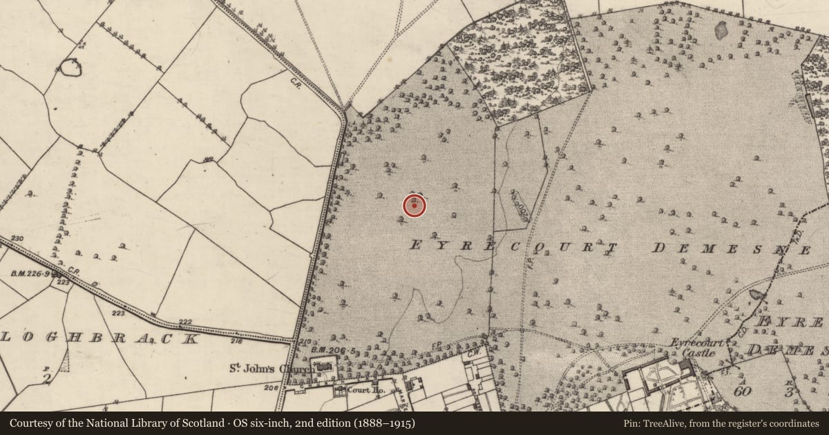 Ordnance Survey six-inch map, 2nd edition (1888–1915) covering the location of Quarry, Eyrecourt Demesne, County Galway, with a pin at the register's coordinates
