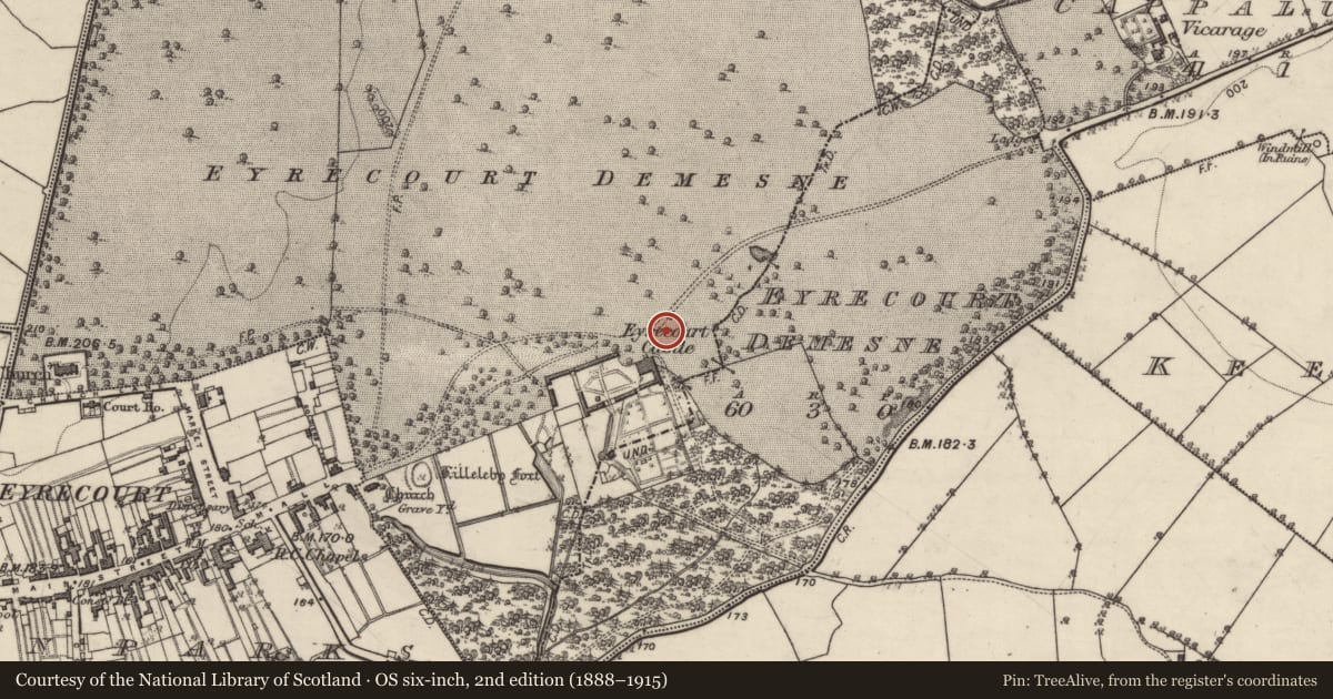Ordnance Survey six-inch map, 2nd edition (1888–1915) covering the location of Souterrain, Eyrecourt Demesne, County Galway, with a pin at the register's coordinates