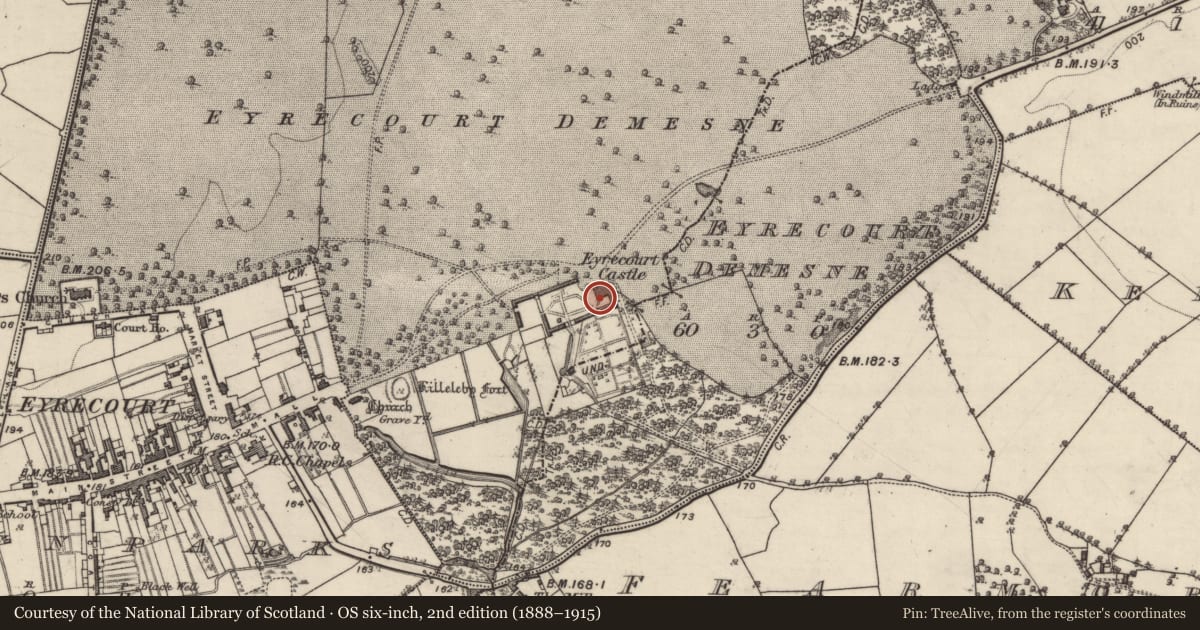 Ordnance Survey six-inch map, 2nd edition (1888–1915) covering the location of House - 17th century, Eyrecourt Demesne, County Galway, with a pin at the register's coordinates
