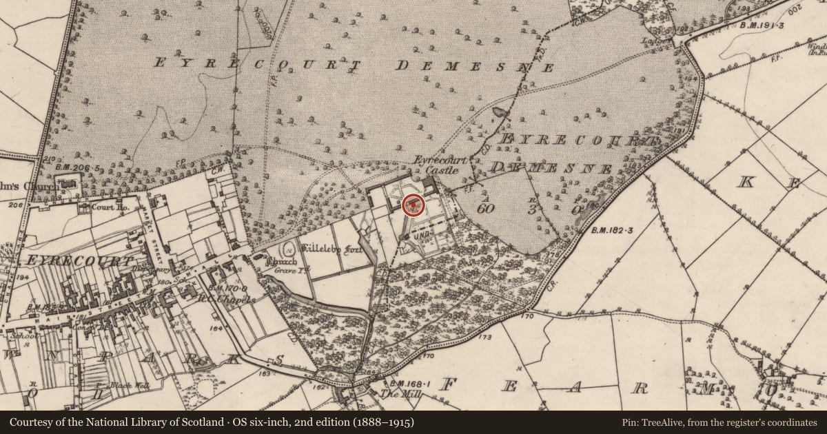 Ordnance Survey six-inch map, 2nd edition (1888–1915) covering the location of Castle - tower house, Eyrecourt Demesne, County Galway, with a pin at the register's coordinates