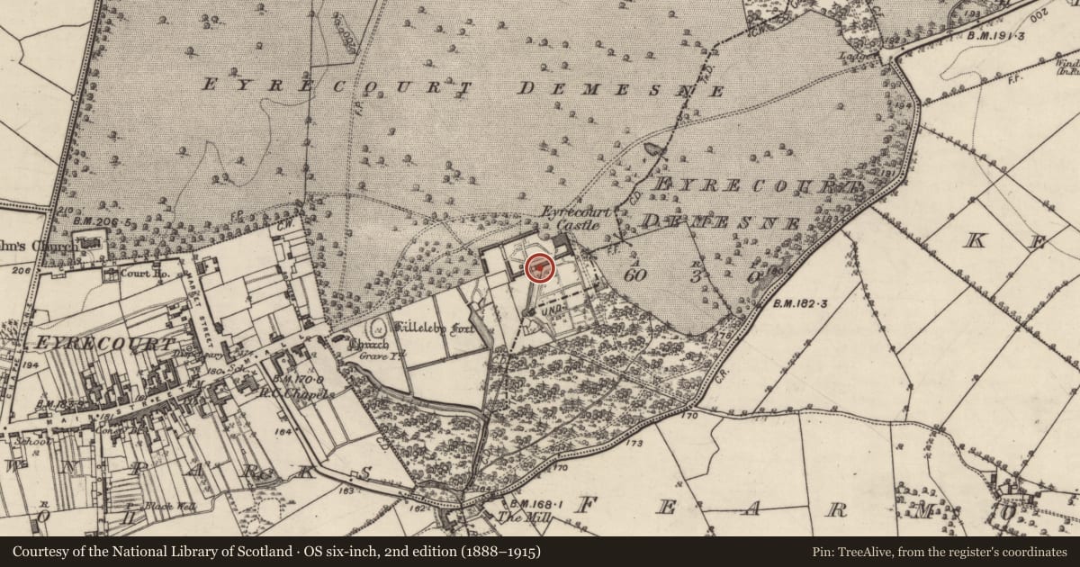 Ordnance Survey six-inch map, 2nd edition (1888–1915) covering the location of House - indeterminate date, Eyrecourt Demesne, County Galway, with a pin at the register's coordinates