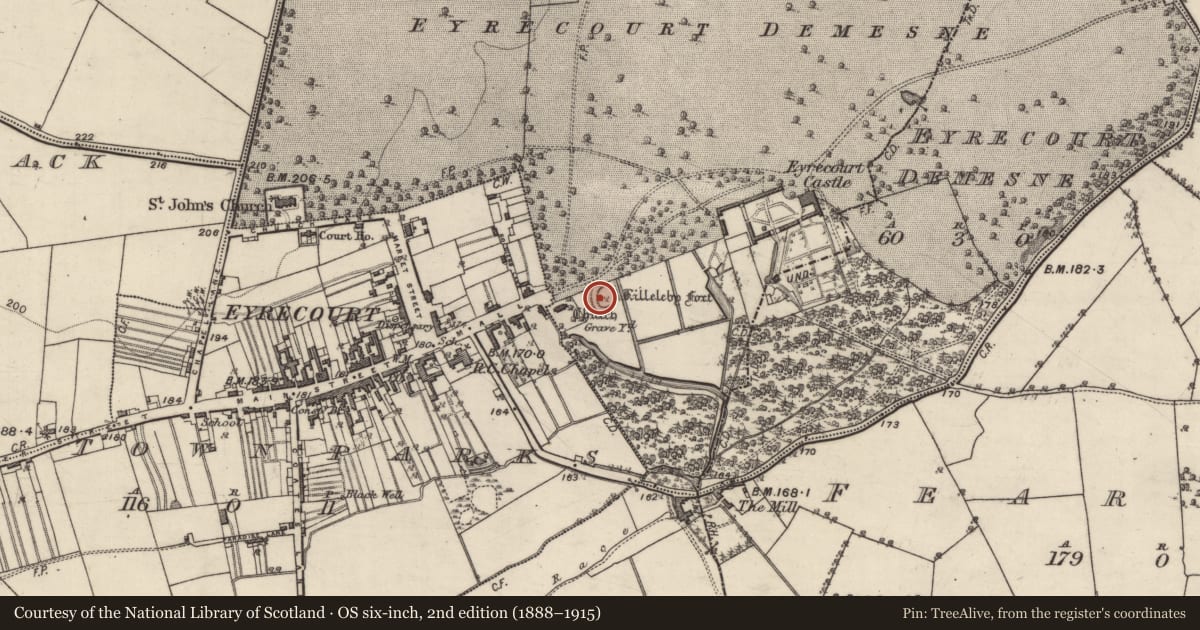 Ordnance Survey six-inch map, 2nd edition (1888–1915) covering the location of Ringfort - rath, Eyrecourt Demesne, County Galway, with a pin at the register's coordinates
