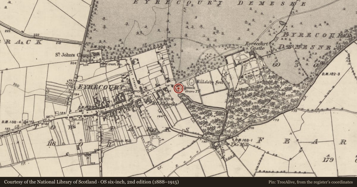 Ordnance Survey six-inch map, 2nd edition (1888–1915) covering the location of Graveyard, Eyrecourt Demesne, County Galway, with a pin at the register's coordinates
