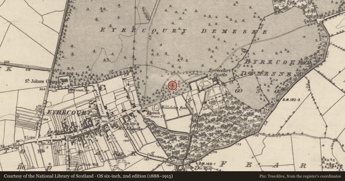 Ordnance Survey six-inch map, 2nd edition (1888–1915) covering the location of Church, Eyrecourt Demesne, County Galway, with a pin at the register's coordinates