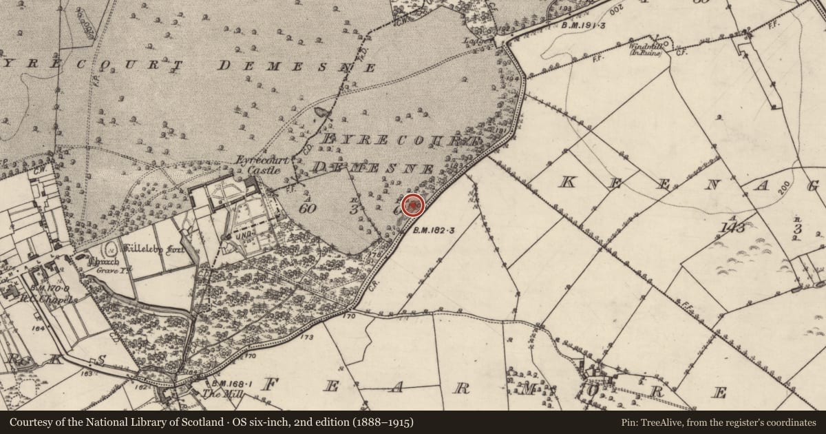 Ordnance Survey six-inch map, 2nd edition (1888–1915) covering the location of Quarry, Eyrecourt Demesne, County Galway, with a pin at the register's coordinates