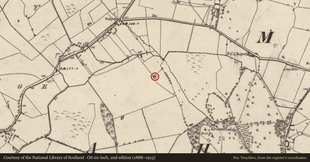 Ordnance Survey six-inch map, 2nd edition (1888–1915) covering the location of Ringfort - rath, Fahy, County Galway, with a pin at the register's coordinates