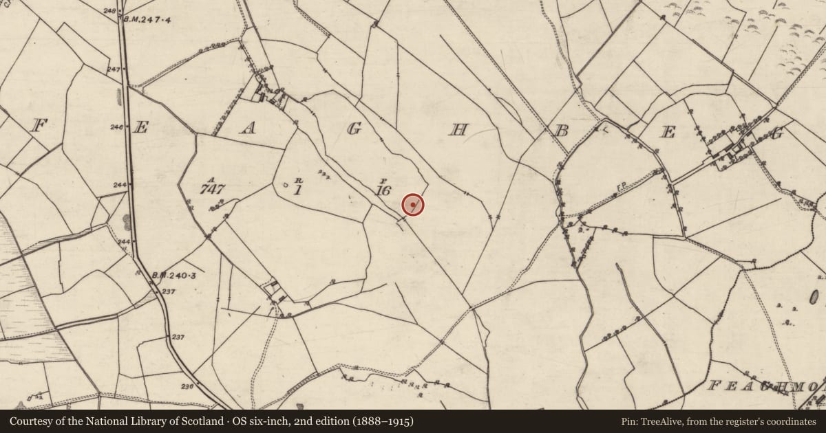 Ordnance Survey six-inch map, 2nd edition (1888–1915) covering the location of Quarry, Feaghbeg, County Galway, with a pin at the register's coordinates