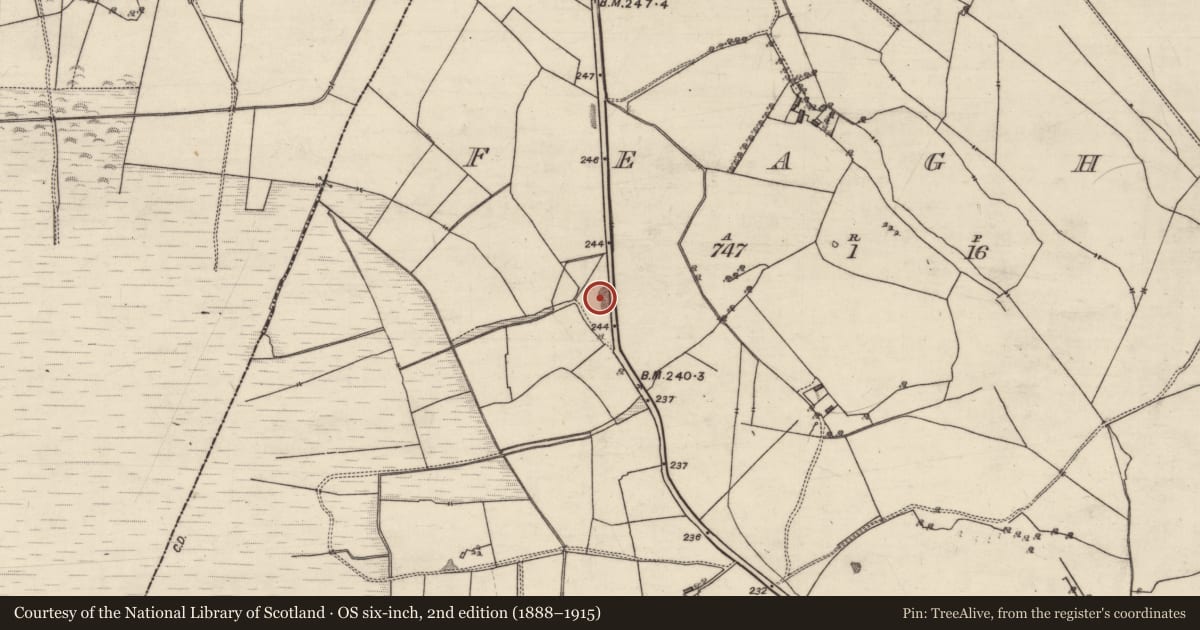 Ordnance Survey six-inch map, 2nd edition (1888–1915) covering the location of Quarry, Feaghbeg, County Galway, with a pin at the register's coordinates