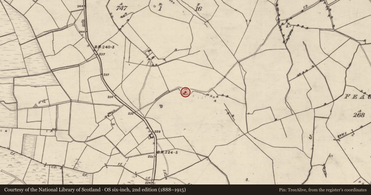 Ordnance Survey six-inch map, 2nd edition (1888–1915) covering the location of Quarry, Feaghbeg, County Galway, with a pin at the register's coordinates