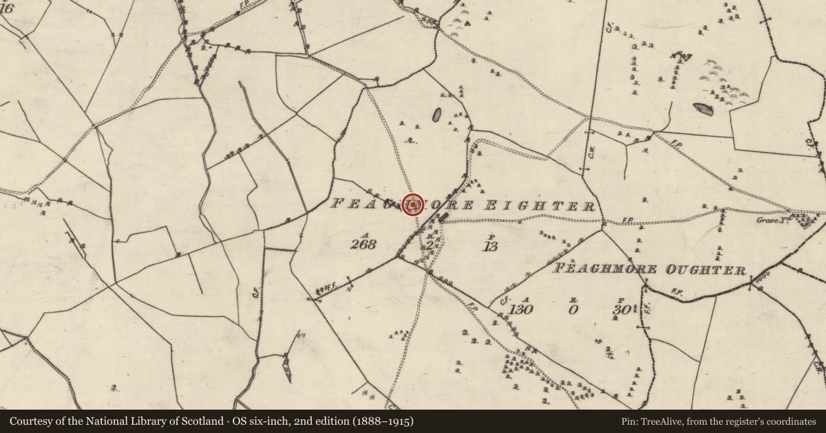 Ordnance Survey six-inch map, 2nd edition (1888–1915) covering the location of Quarry, Feaghmore Eighter, County Galway, with a pin at the register's coordinates