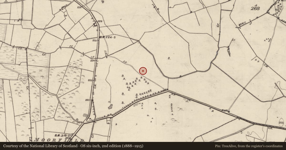 Ordnance Survey six-inch map, 2nd edition (1888–1915) covering the location of Quarry, Feaghmore Eighter, County Galway, with a pin at the register's coordinates