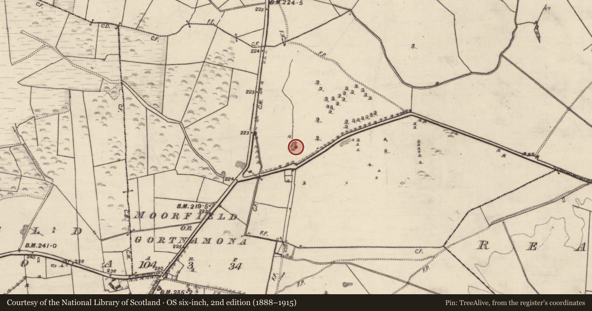 Ordnance Survey six-inch map, 2nd edition (1888–1915) covering the location of Quarry, Feaghmore Eighter, County Galway, with a pin at the register's coordinates
