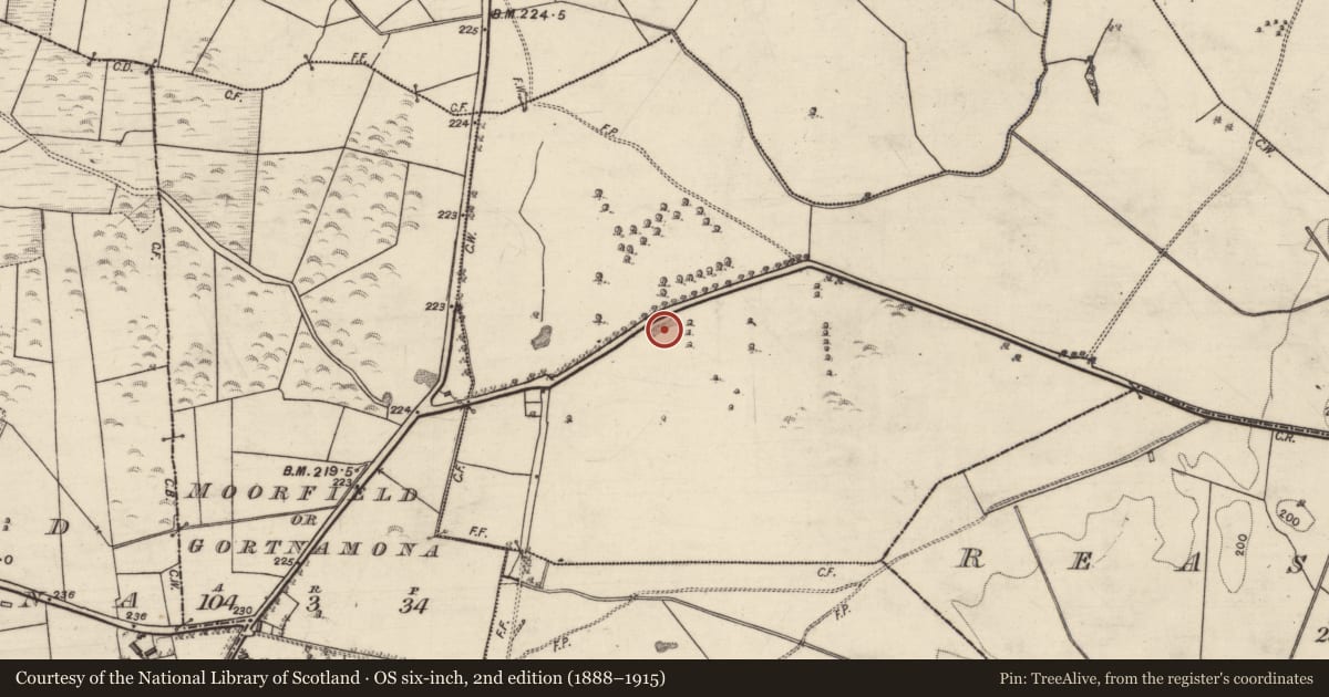 Ordnance Survey six-inch map, 2nd edition (1888–1915) covering the location of Quarry, Feaghmore Eighter, County Galway, with a pin at the register's coordinates