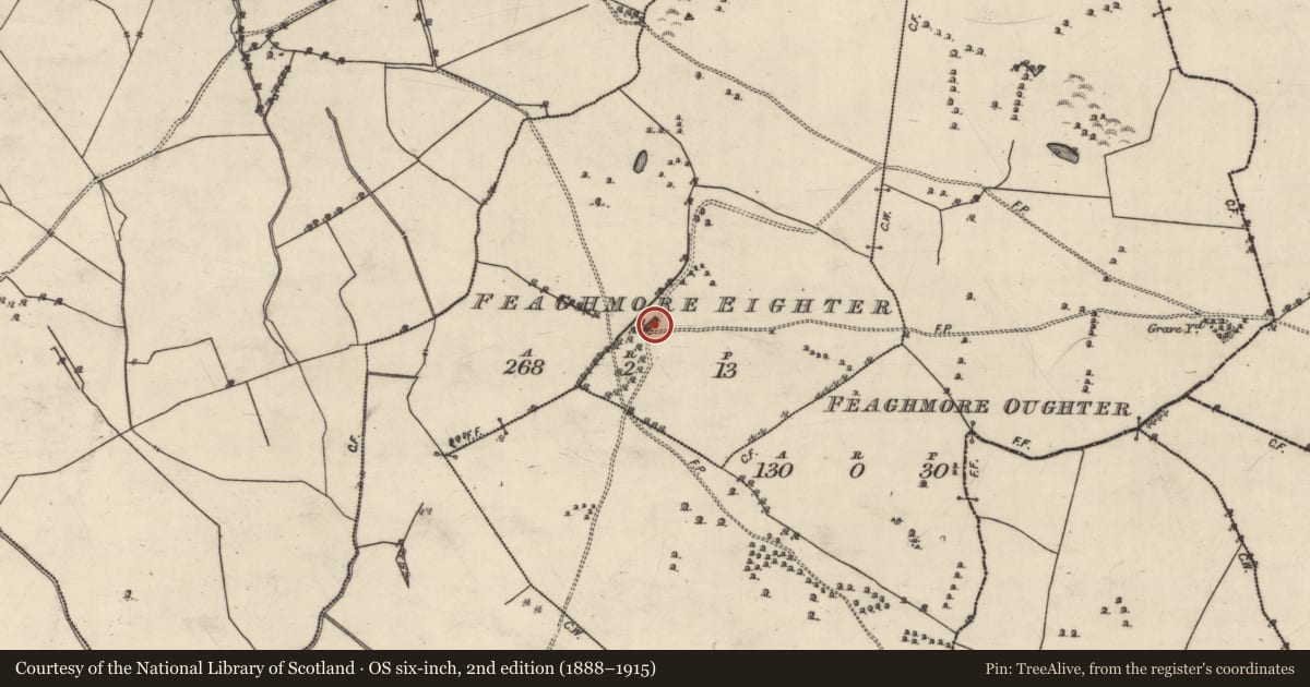Ordnance Survey six-inch map, 2nd edition (1888–1915) covering the location of Country house, Feaghmore Eighter, County Galway, with a pin at the register's coordinates