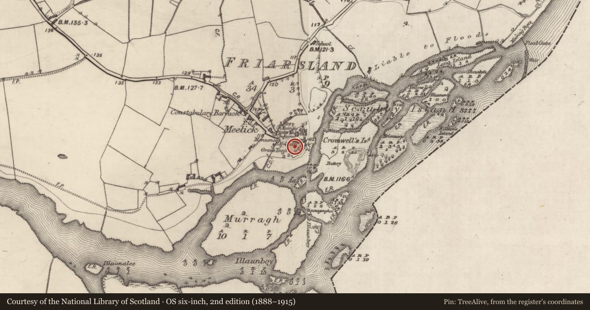 Ordnance Survey six-inch map, 2nd edition (1888–1915) covering the location of Graveyard, Friarsland, County Galway, with a pin at the register's coordinates