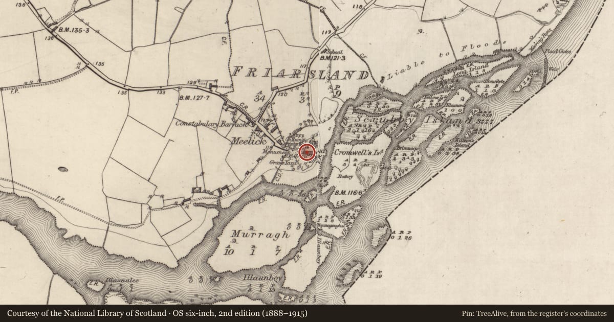 Ordnance Survey six-inch map, 2nd edition (1888–1915) covering the location of Graveslab, Friarsland, County Galway, with a pin at the register's coordinates