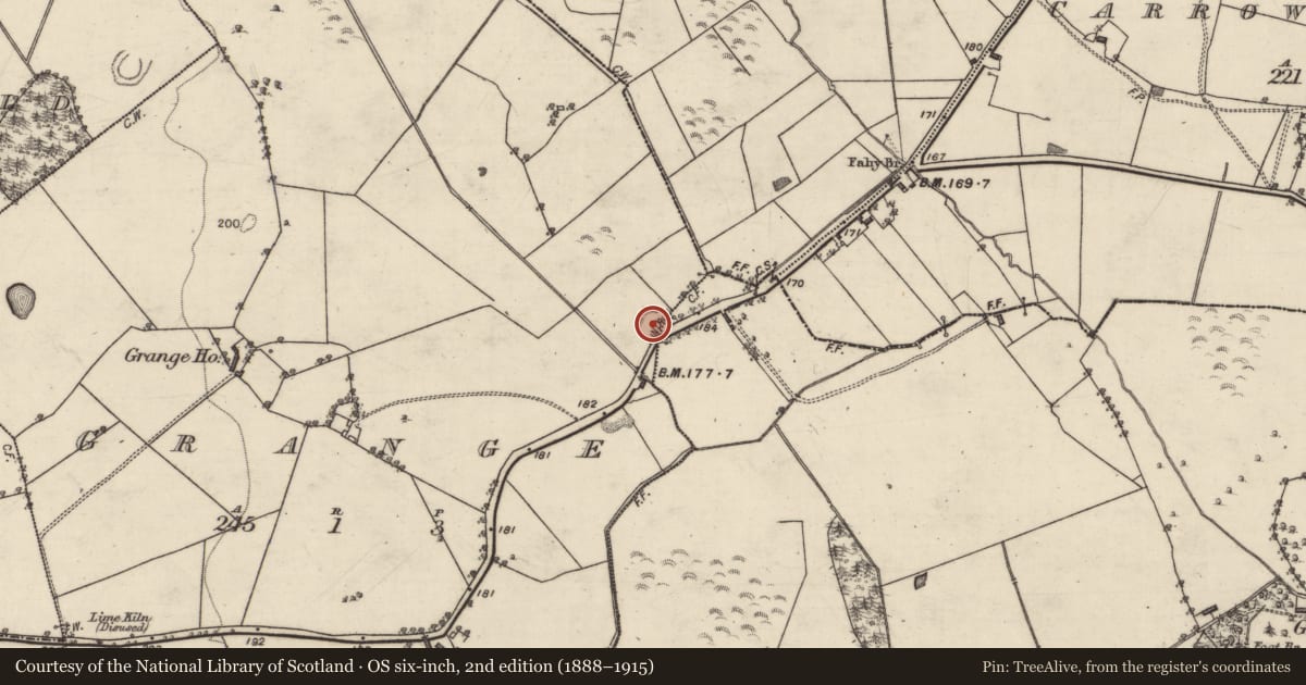 Ordnance Survey six-inch map, 2nd edition (1888–1915) covering the location of Quarry, Grange, County Galway, with a pin at the register's coordinates