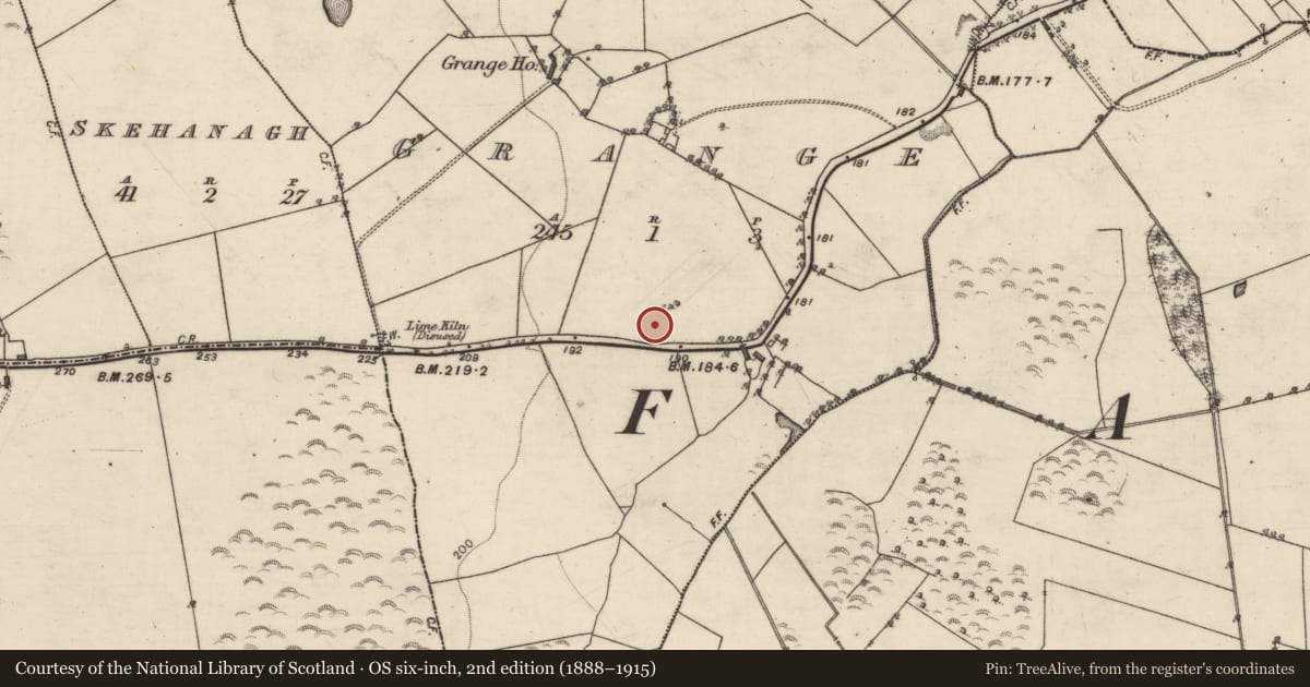 Ordnance Survey six-inch map, 2nd edition (1888–1915) covering the location of Ringfort - rath, Grange, County Galway, with a pin at the register's coordinates