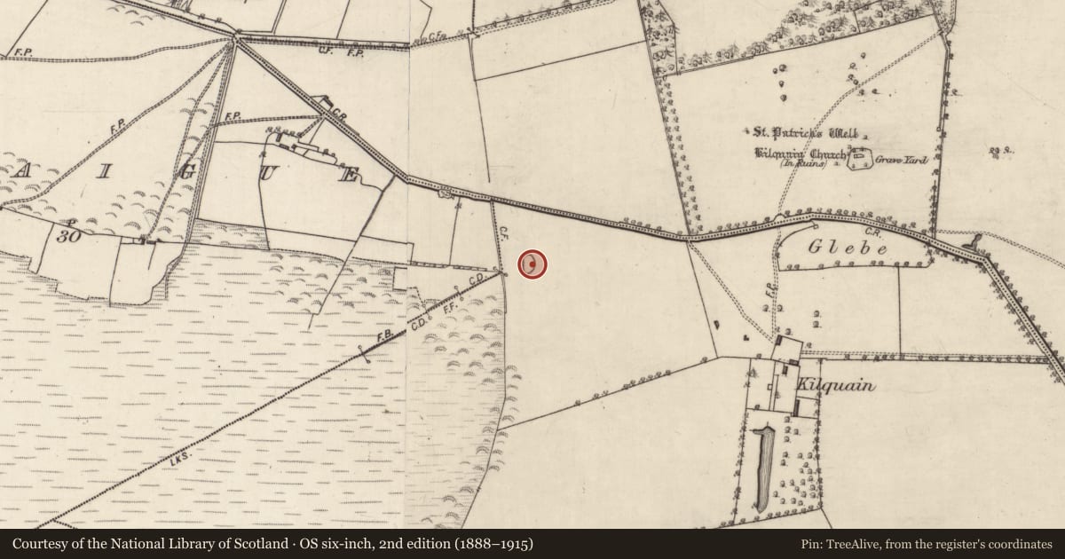 Ordnance Survey six-inch map, 2nd edition (1888–1915) covering the location of Ringfort - rath, Kilquain, County Galway, with a pin at the register's coordinates