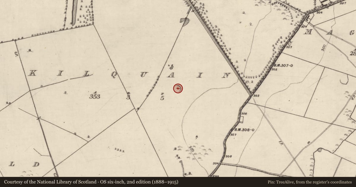 Ordnance Survey six-inch map, 2nd edition (1888–1915) covering the location of Ringfort - rath, Kilquain, County Galway, with a pin at the register's coordinates
