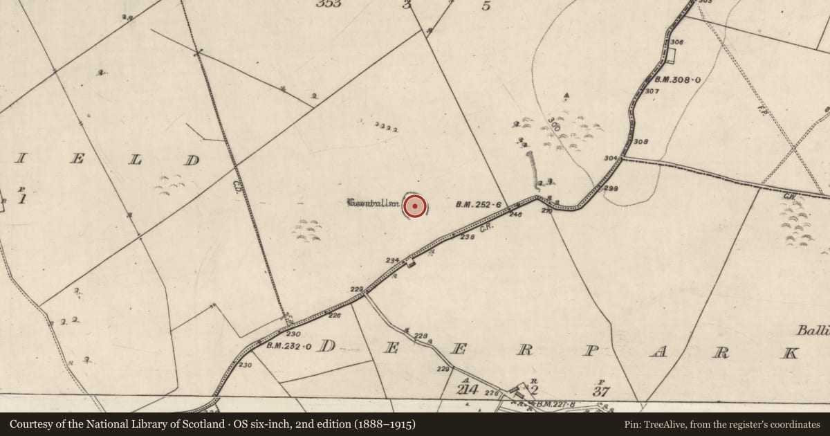 Ordnance Survey six-inch map, 2nd edition (1888–1915) covering the location of Ringfort - rath, Kilquain, County Galway, with a pin at the register's coordinates