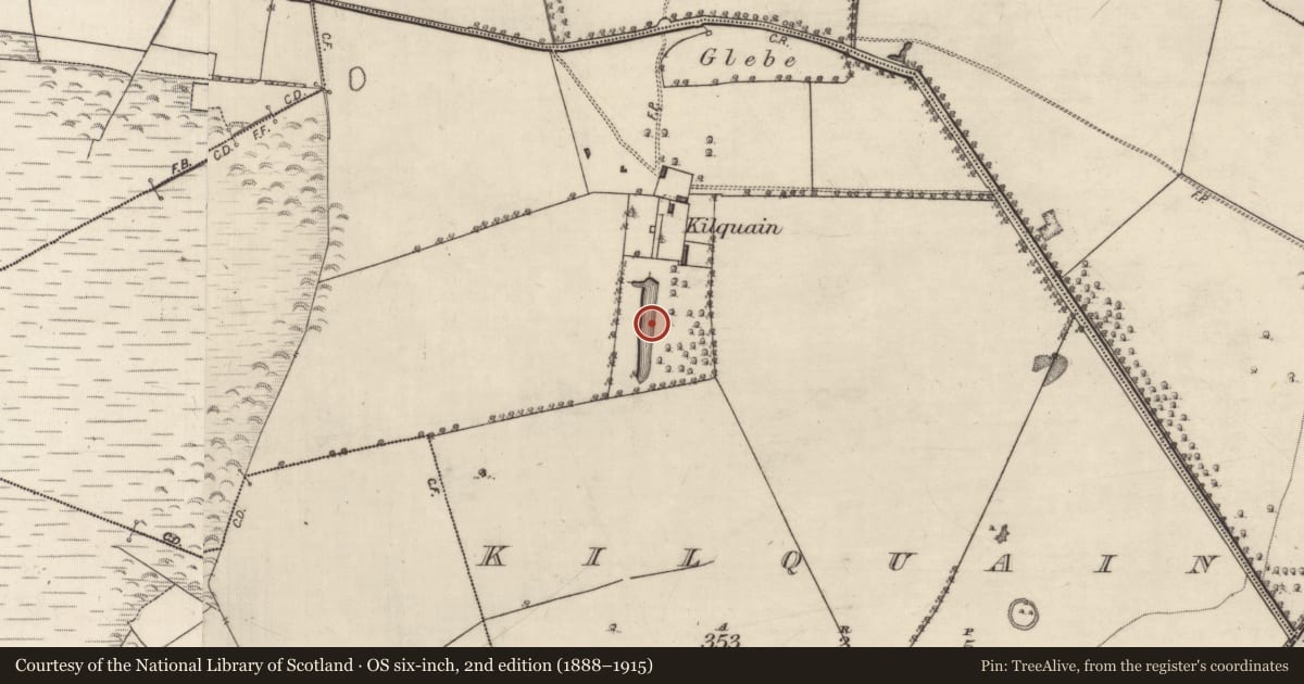 Ordnance Survey six-inch map, 2nd edition (1888–1915) covering the location of Fish-pond, Kilquain, County Galway, with a pin at the register's coordinates
