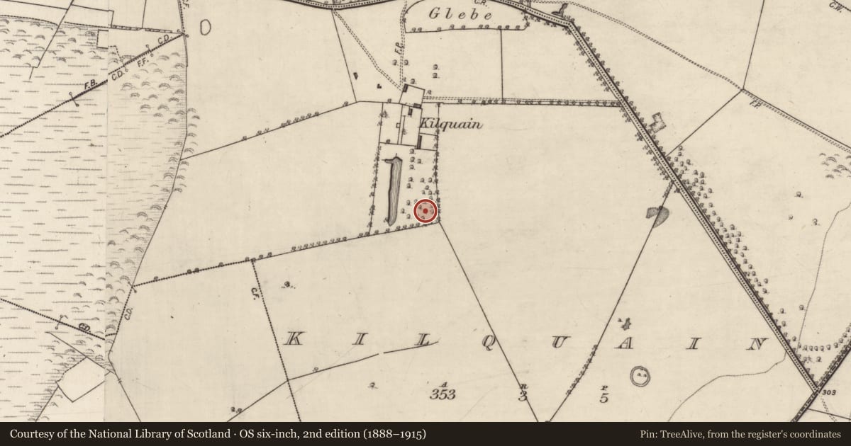 Ordnance Survey six-inch map, 2nd edition (1888–1915) covering the location of Ringfort - rath, Kilquain, County Galway, with a pin at the register's coordinates