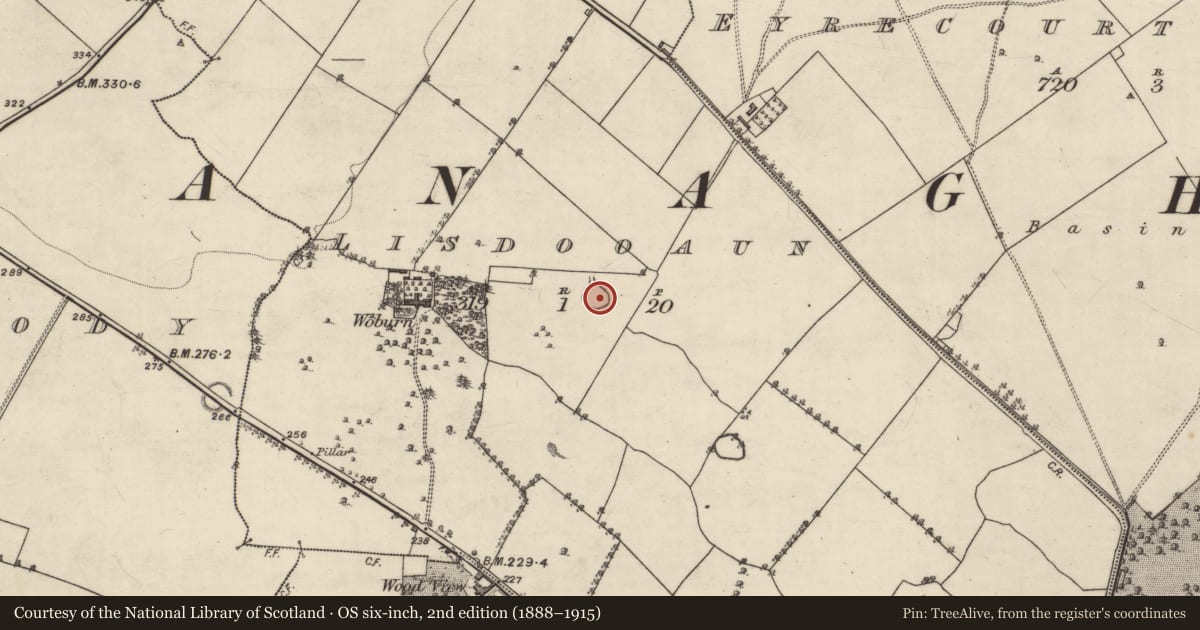 Ordnance Survey six-inch map, 2nd edition (1888–1915) covering the location of Ringfort - rath, Lisdooaun, County Galway, with a pin at the register's coordinates