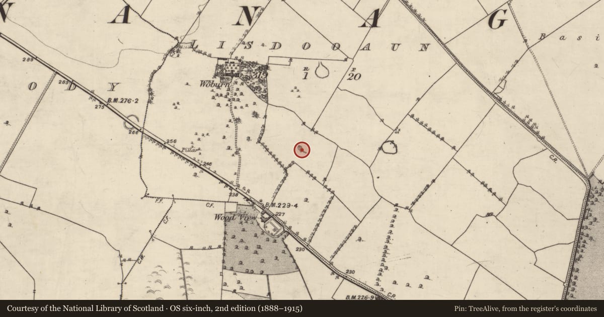 Ordnance Survey six-inch map, 2nd edition (1888–1915) covering the location of Quarry, Lisdooaun, County Galway, with a pin at the register's coordinates
