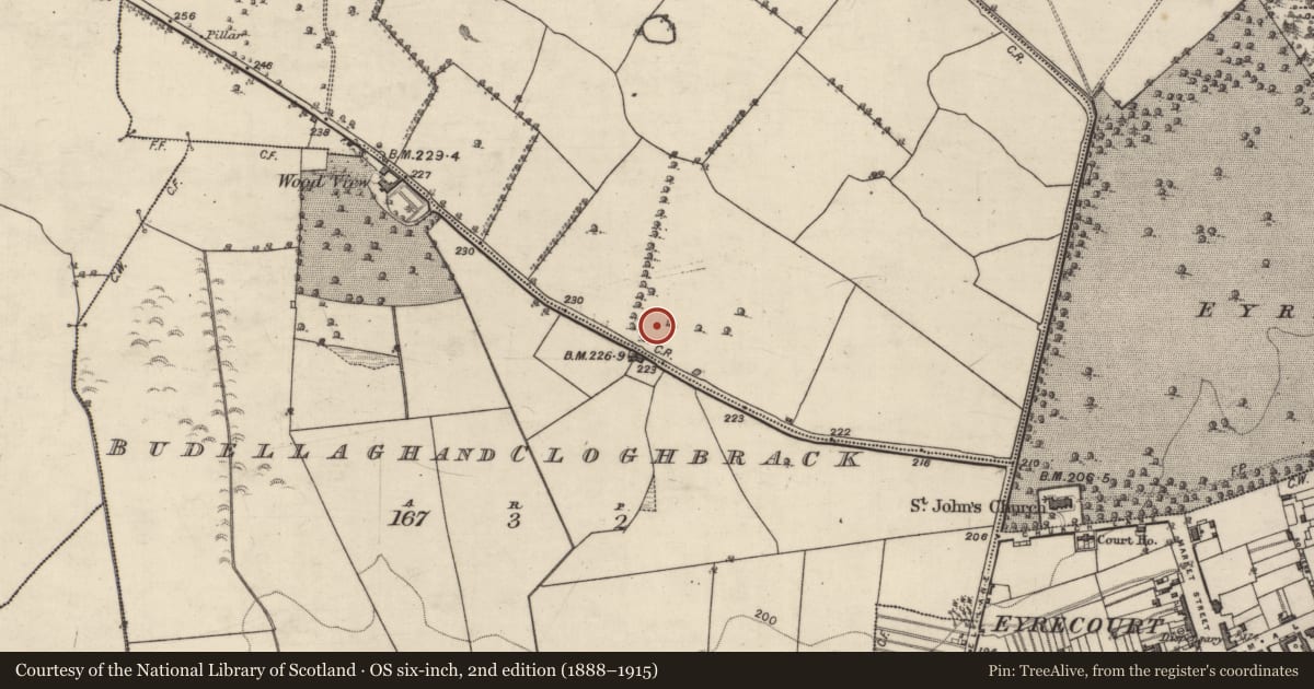 Ordnance Survey six-inch map, 2nd edition (1888–1915) covering the location of Ringfort - rath, Lisdooaun, County Galway, with a pin at the register's coordinates