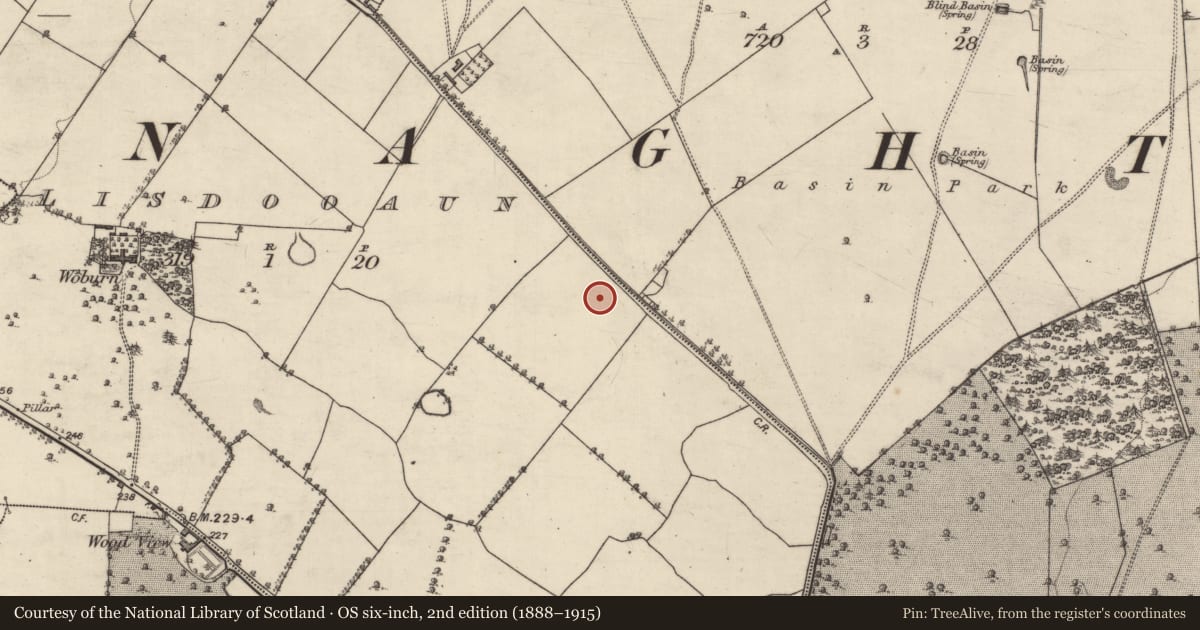 Ordnance Survey six-inch map, 2nd edition (1888–1915) covering the location of Quarry, Lisdooaun, County Galway, with a pin at the register's coordinates
