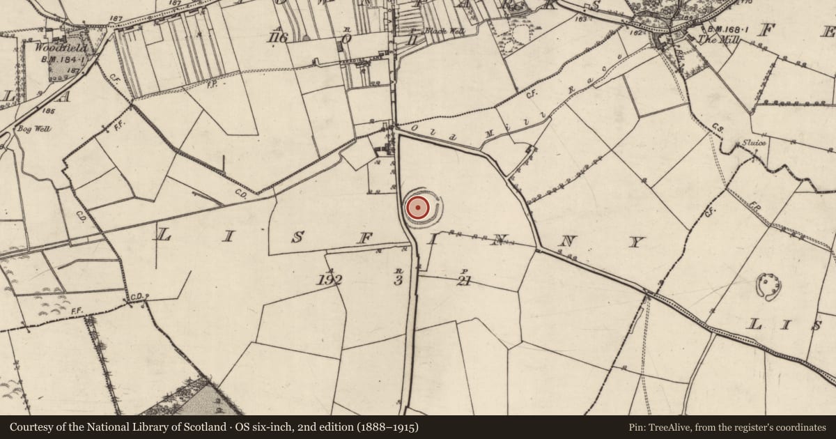Ordnance Survey six-inch map, 2nd edition (1888–1915) covering the location of Souterrain, Lisfinny, County Galway, with a pin at the register's coordinates