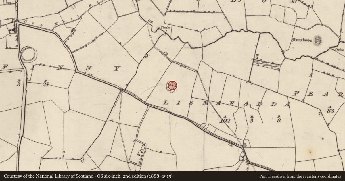 Ordnance Survey six-inch map, 2nd edition (1888–1915) covering the location of Ringfort - rath, Lismafadda, County Galway, with a pin at the register's coordinates