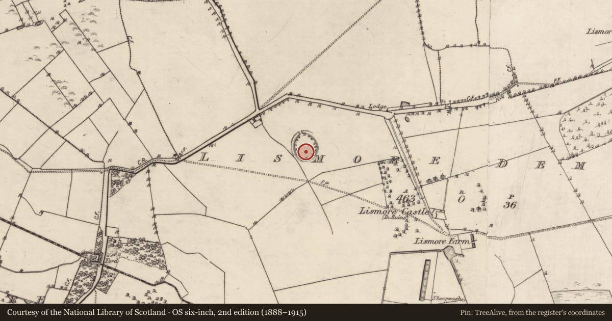 Ordnance Survey six-inch map, 2nd edition (1888–1915) covering the location of Souterrain, Lismore Demesne, County Galway, with a pin at the register's coordinates