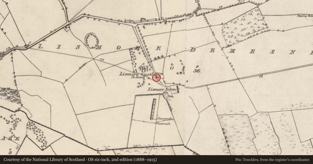 Ordnance Survey six-inch map, 2nd edition (1888–1915) covering the location of Castle - tower house, Lismore Demesne, County Galway, with a pin at the register's coordinates
