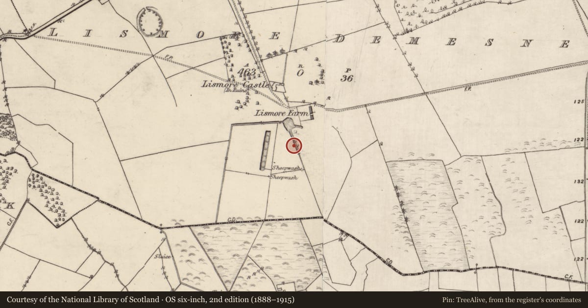 Ordnance Survey six-inch map, 2nd edition (1888–1915) covering the location of Fish-pond, Lismore Demesne, County Galway, with a pin at the register's coordinates