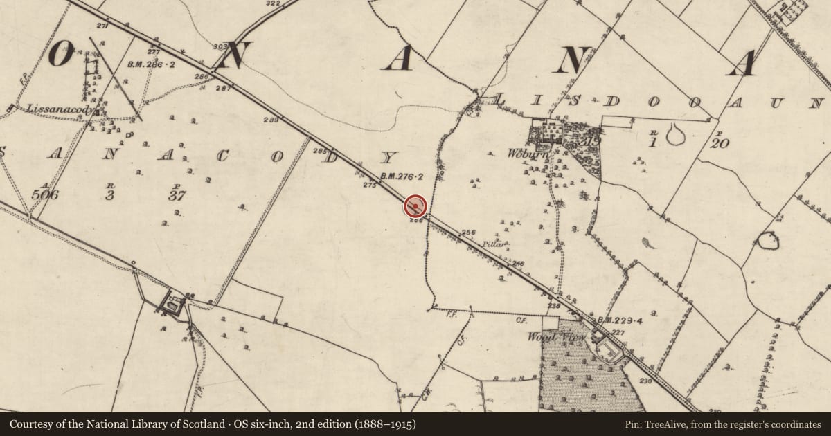 Ordnance Survey six-inch map, 2nd edition (1888–1915) covering the location of Ringfort - rath, Lissanacody, County Galway, with a pin at the register's coordinates