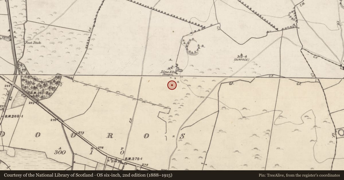 Ordnance Survey six-inch map, 2nd edition (1888–1915) covering the location of Settlement cluster, Dooros, County Galway, with a pin at the register's coordinates