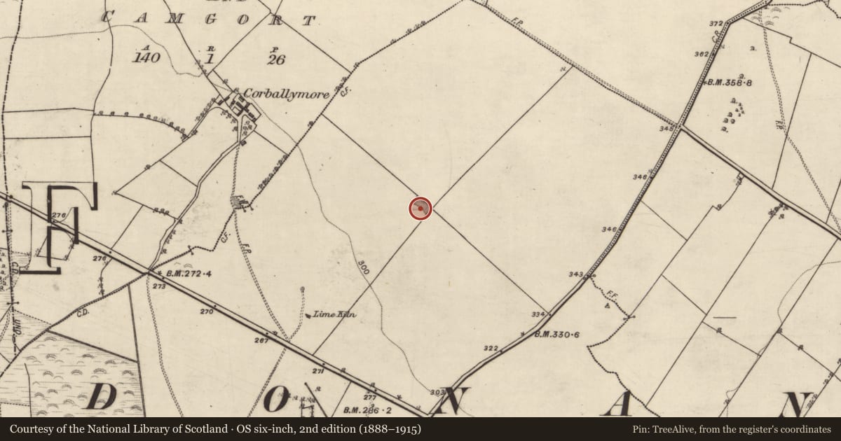 Ordnance Survey six-inch map, 2nd edition (1888–1915) covering the location of Quarry, Lissanacody, County Galway, with a pin at the register's coordinates