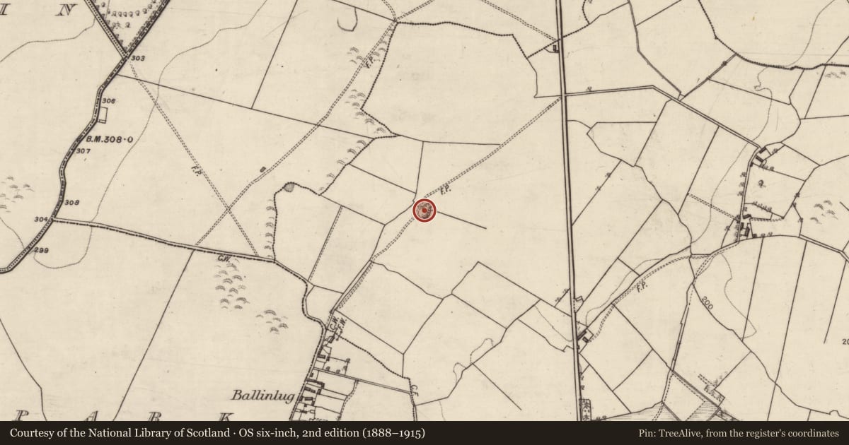 Ordnance Survey six-inch map, 2nd edition (1888–1915) covering the location of Quarry, Longford, County Galway, with a pin at the register's coordinates