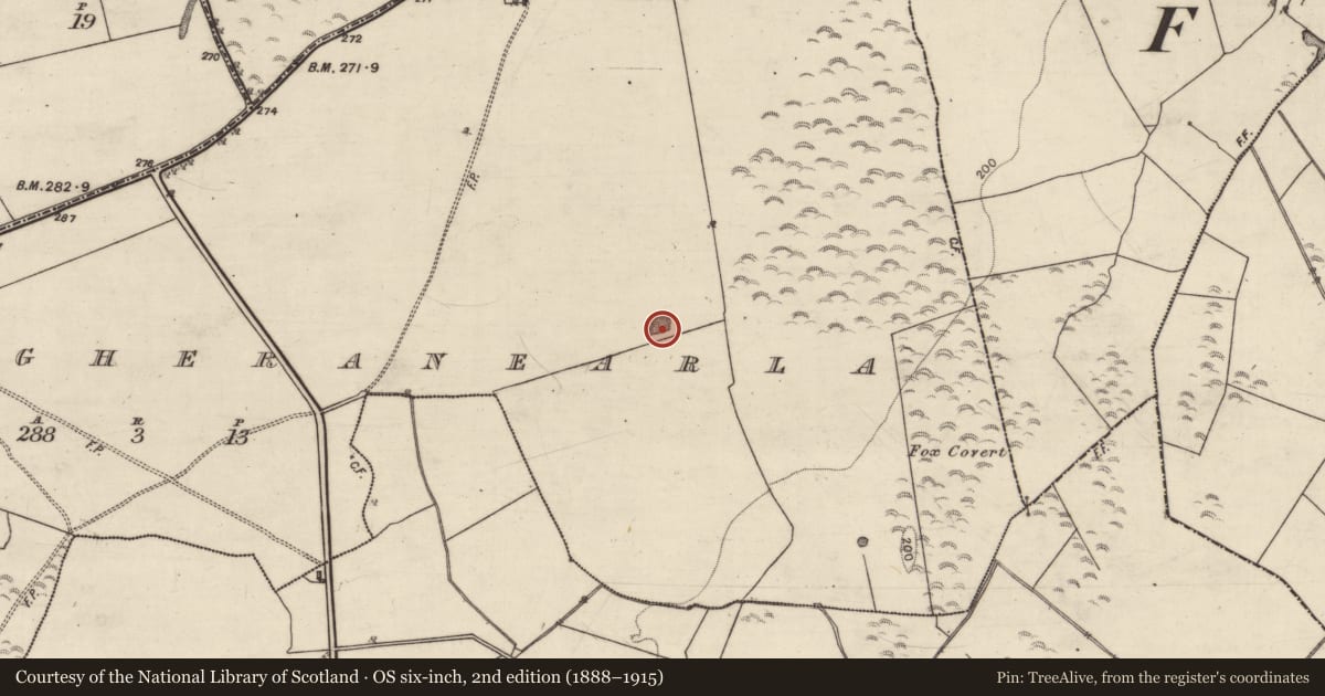 Ordnance Survey six-inch map, 2nd edition (1888–1915) covering the location of Quarry, Magheranearla, County Galway, with a pin at the register's coordinates