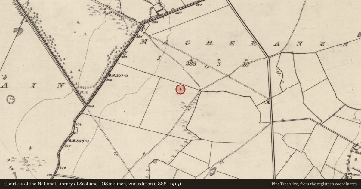Ordnance Survey six-inch map, 2nd edition (1888–1915) covering the location of Enclosure, Magheranearla, County Galway, with a pin at the register's coordinates