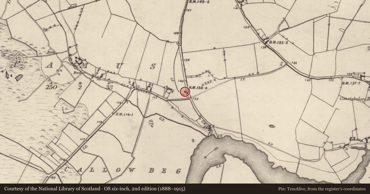 Ordnance Survey six-inch map, 2nd edition (1888–1915) covering the location of Quarry, Meelick, County Galway, with a pin at the register's coordinates