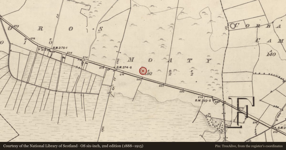 Ordnance Survey six-inch map, 2nd edition (1888–1915) covering the location of Moated site, Moaty, County Galway, with a pin at the register's coordinates